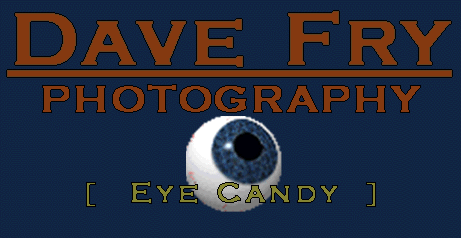 Dave Fry Photography  [ E Y E  C A N D Y ]