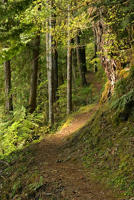 Baker Lake trail