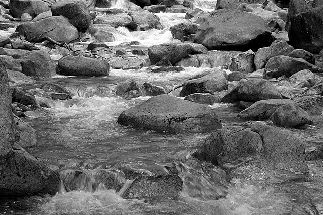 Shannon Creek