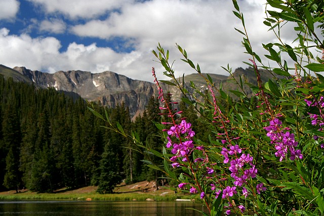 Echo Lake