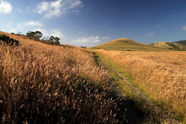 Point Reyes National Seashore