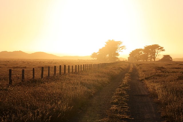 Point Reyes National Seashore