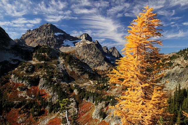 Maple Pass, North Cascades National Park
