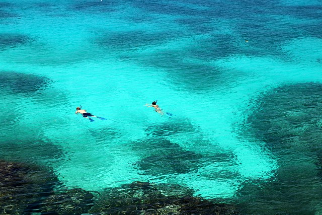 Snorkeling at the Rockhouse