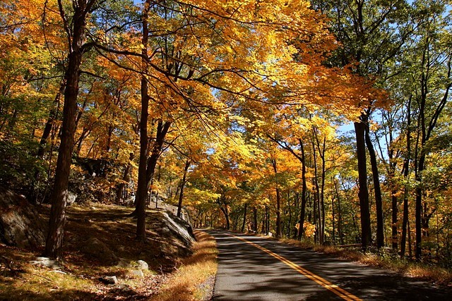 Harriman State Park