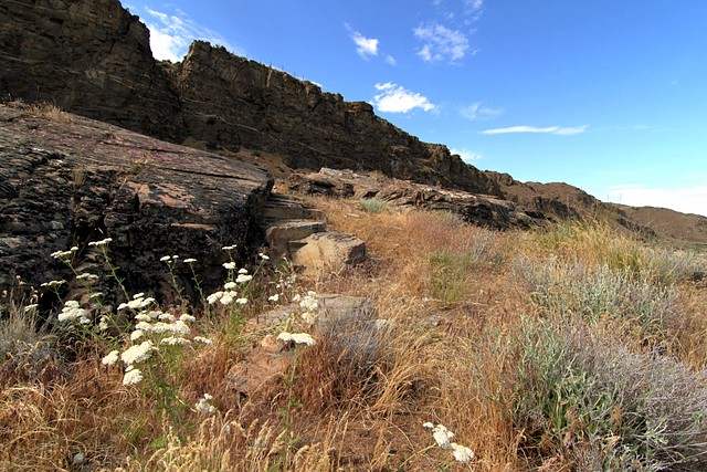 Columbia River Basin